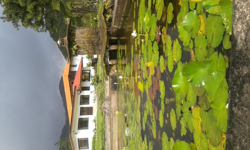 El Valle de Anton Hotel Campestre מראה חיצוני תמונה